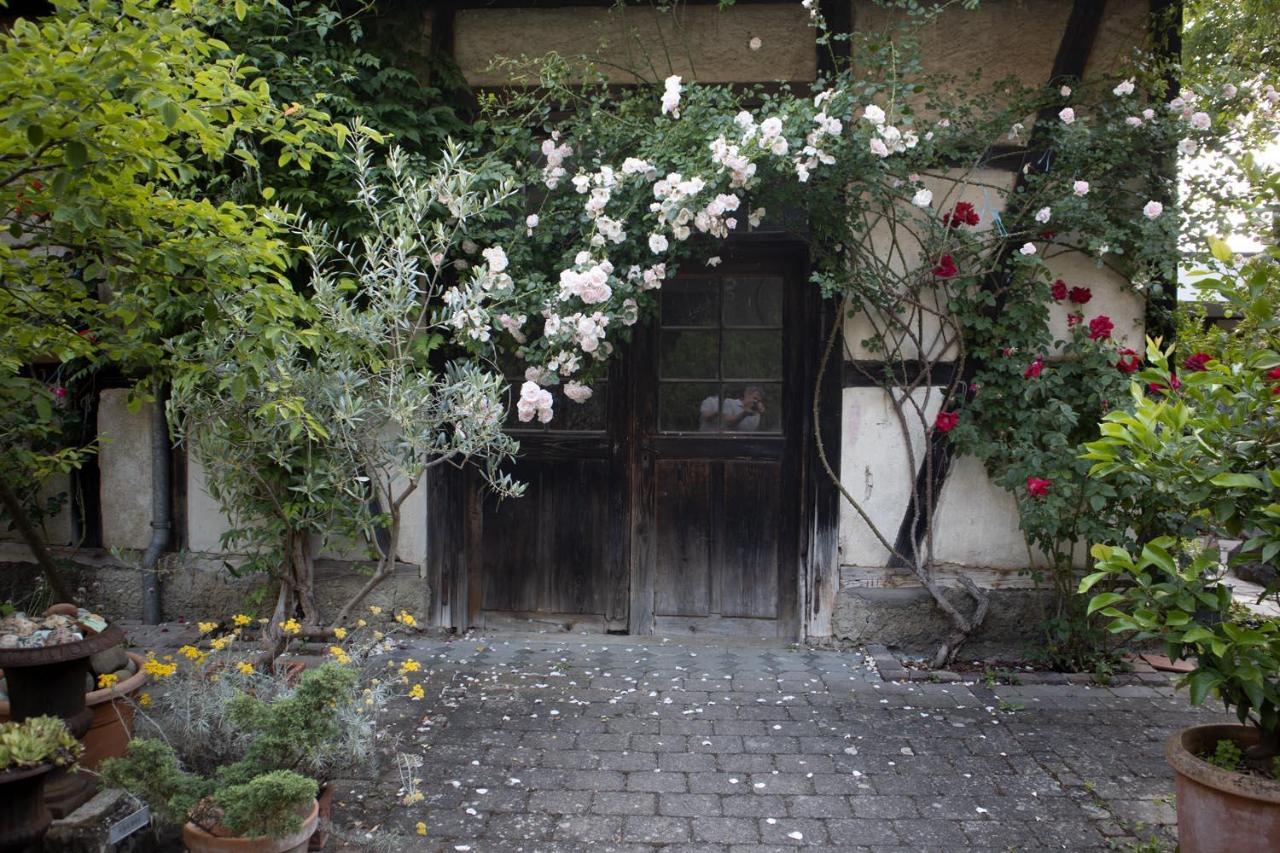 רידלינגן Villaflora Gaestehaus מראה חיצוני תמונה